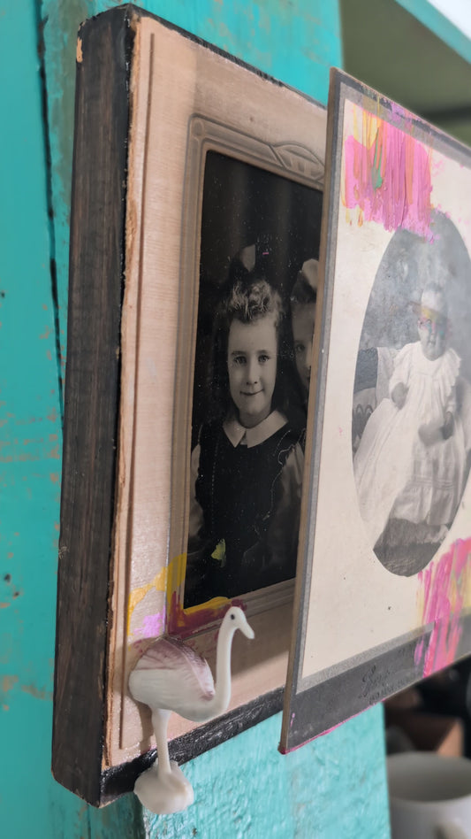 Baby - Goose and Rhino